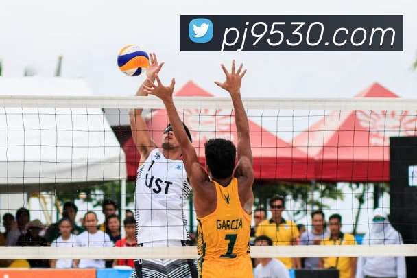 奖项证书